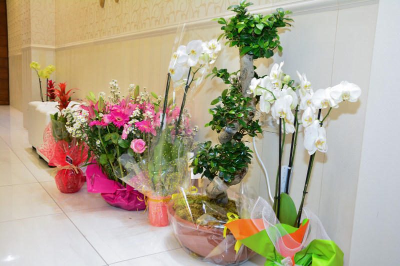 Grand Opening of Jeanette Saade Jewelry Shop
